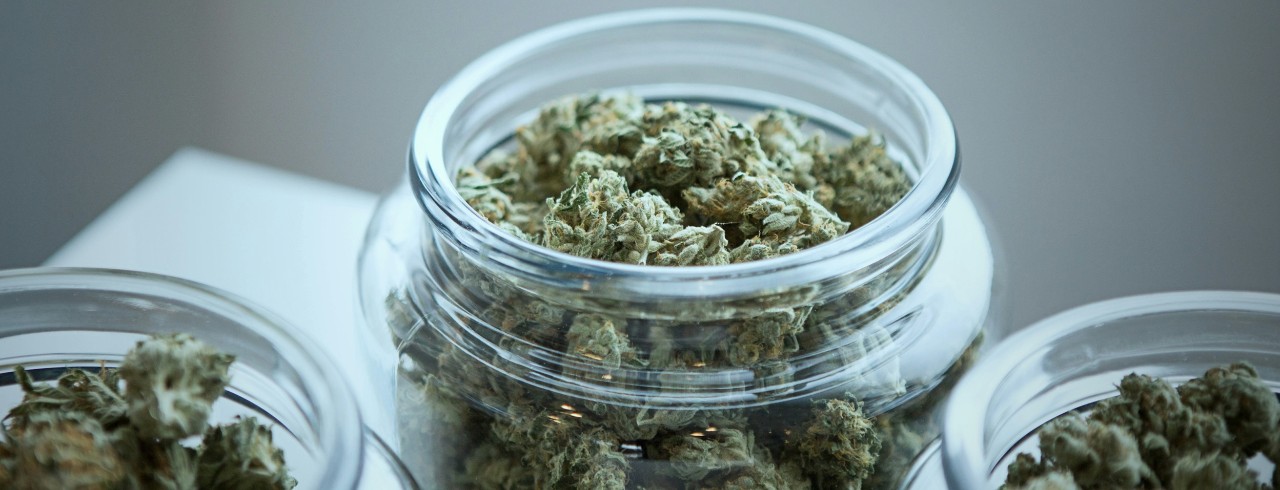 Marijuana in a cannabis dispensary.