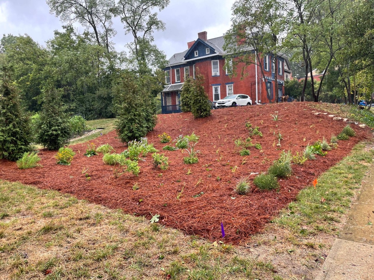Wimberg Landscaping planted the pollinator garden with fast-growing native trees and perennial pollinator plants.