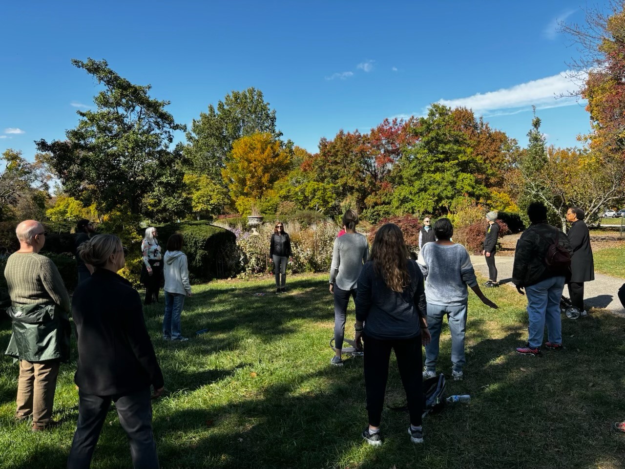 group of people participating in forest therapy