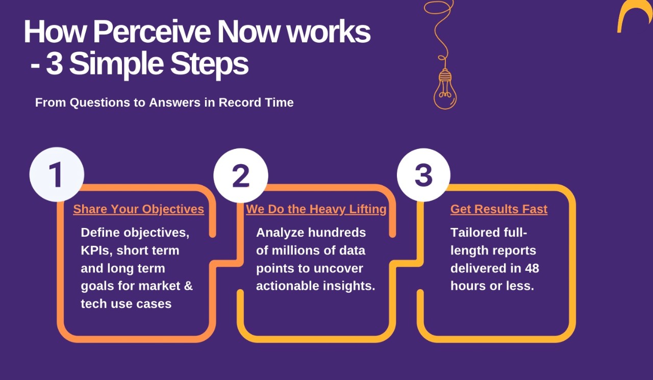 A slide explains how Perceive Now works in three steps: share your objectives, we do the heavy lifting and get results fast.