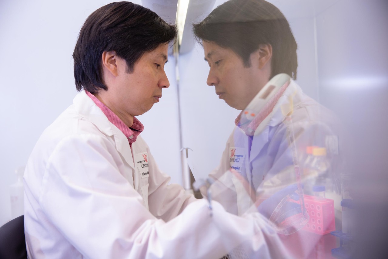 Research, Lab
Dr. Xiaoting Zhang, professor and Thomas Boat Endowed Chair in UC’s Department of Cancer Biology, director of the Breast Cancer Research Program.