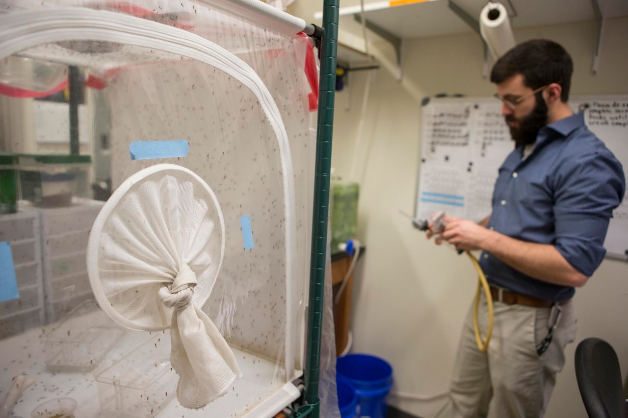 Dr. Joshua Benoit leads a team of researchers studying mosquitoes. Student Christopher Holmes
