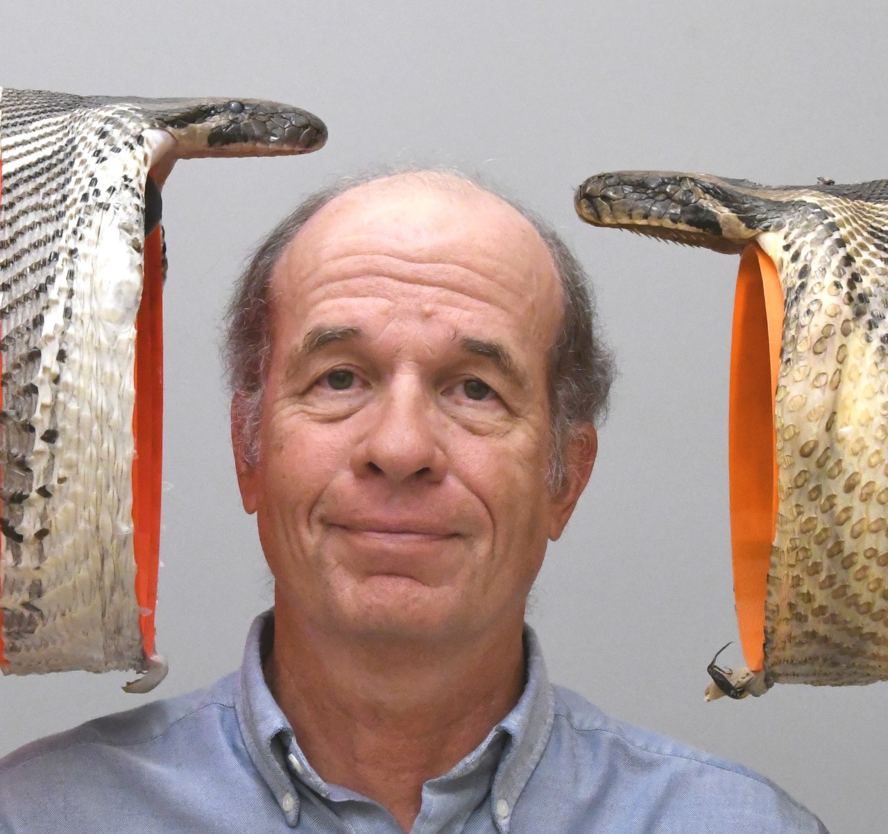 Bruce Jayne poses with two python heads with their mouths held agape. 