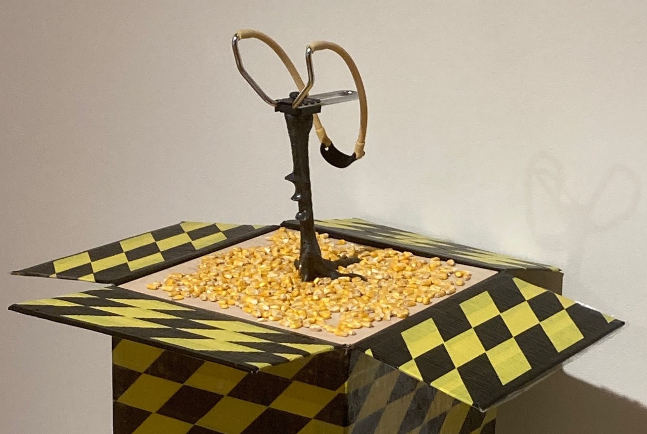 house sitting on pink bubble wrap  