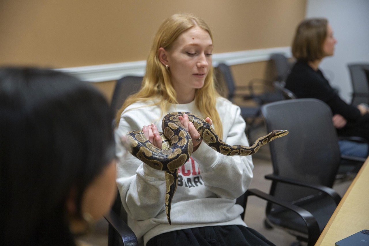 First meeting of the Herpetology club run by Joshua Lantz and Dr. Jayne. Featuring a ball python, bearded dragon, and more reptile friends.