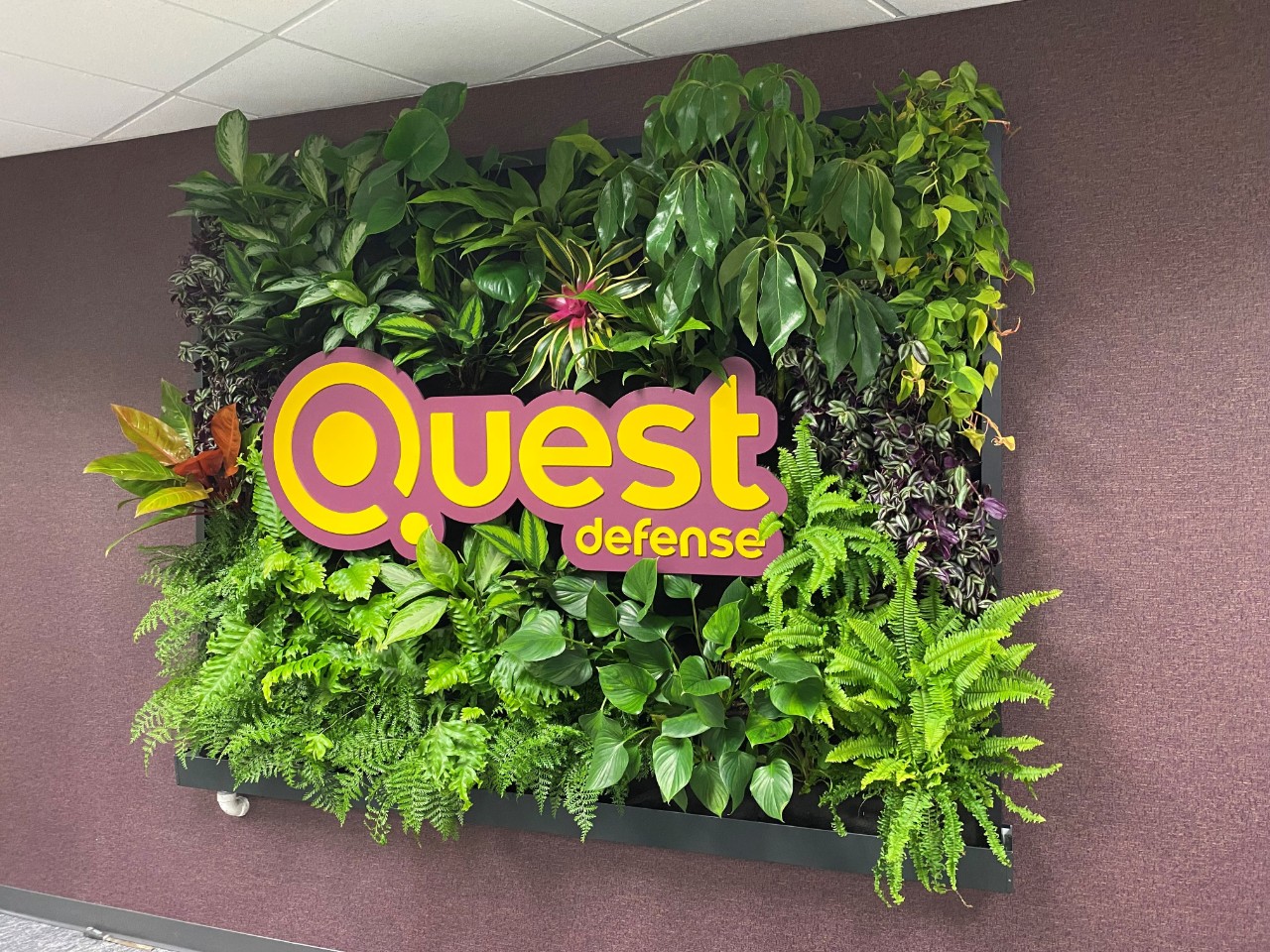 Quest Defense living wall logo.  Photo/Quest Defense