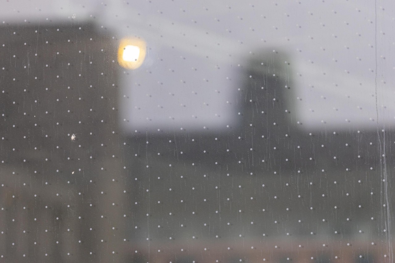 UC Professor Theresa Culley talks about the new bird-safe glass added to Old Chem in renovations. Migrating birds die by the hundreds of thousands each year after striking glass windows.