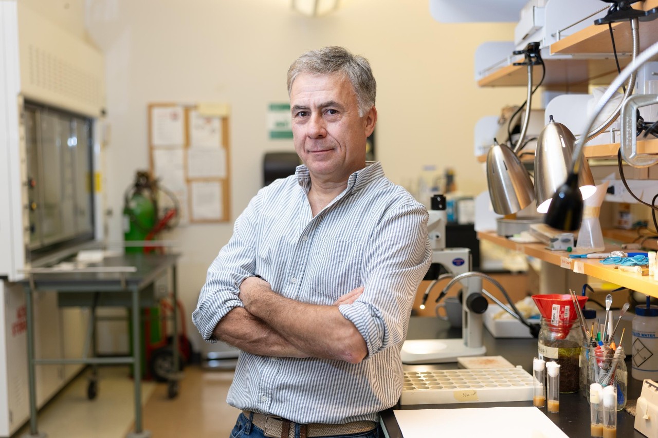 UC Professors Michal Polak and Joshua Benoit have a new study on the genetic effects of parasites on fruit flies.