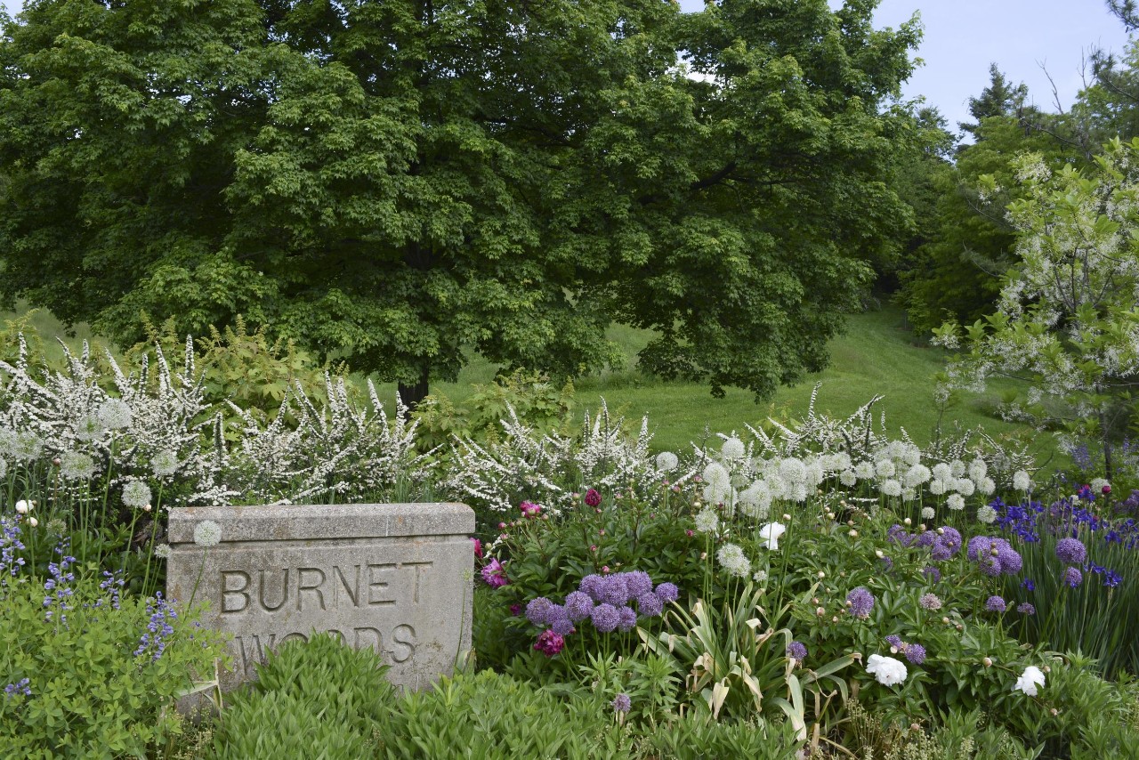 A stone sign for Burnet Woods sits in a flower garden.