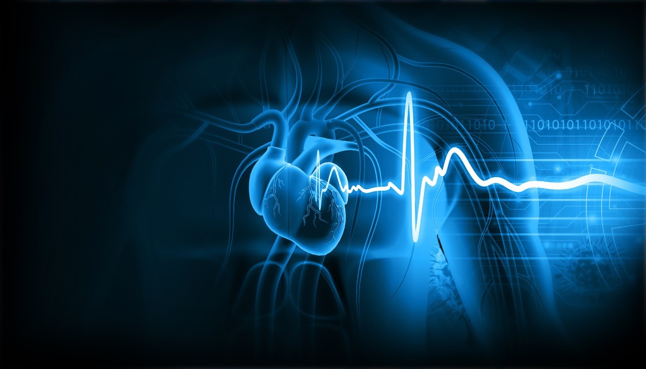 3D illustration of human heart and ECG graph