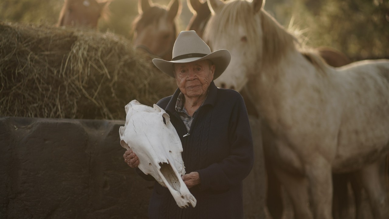 Jane Stelkia holds a horse skull in front of a herd of horses.