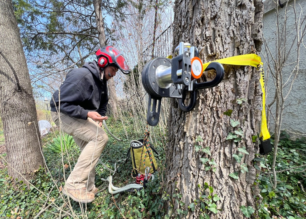 Arborist using Bailout Systems device.