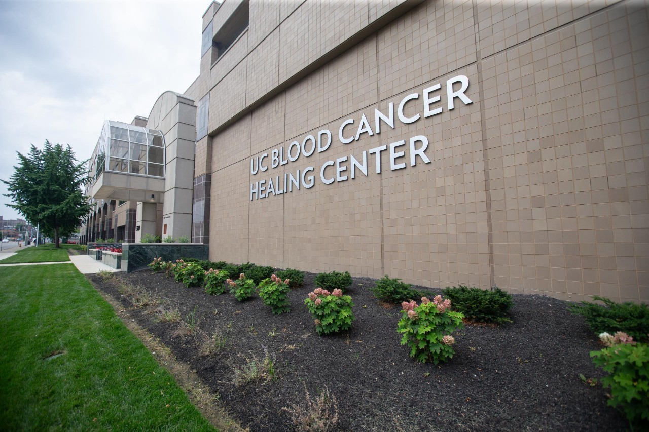 The new Blood Cancer Healing Center  just prior to accepting patients.
