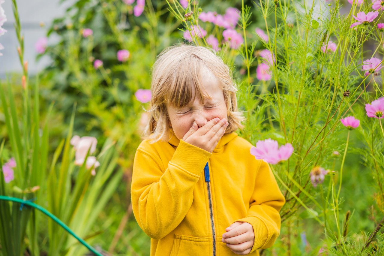 A child in a brightly colored sweatshirt grabs his nose in a flower patch.