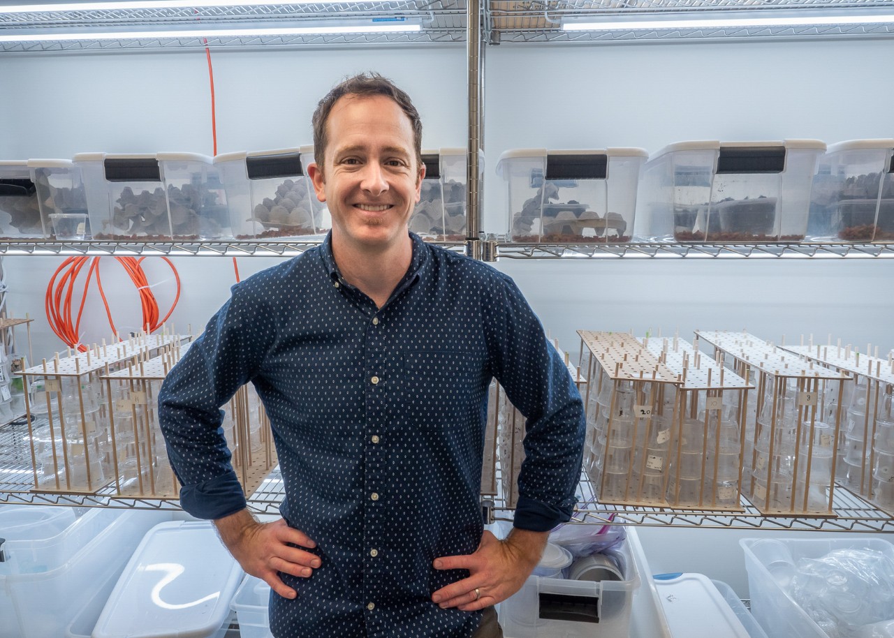 Nathan Morehouse,  National Science Foundation grant to study spider vision around the world. 711H Rieveschl