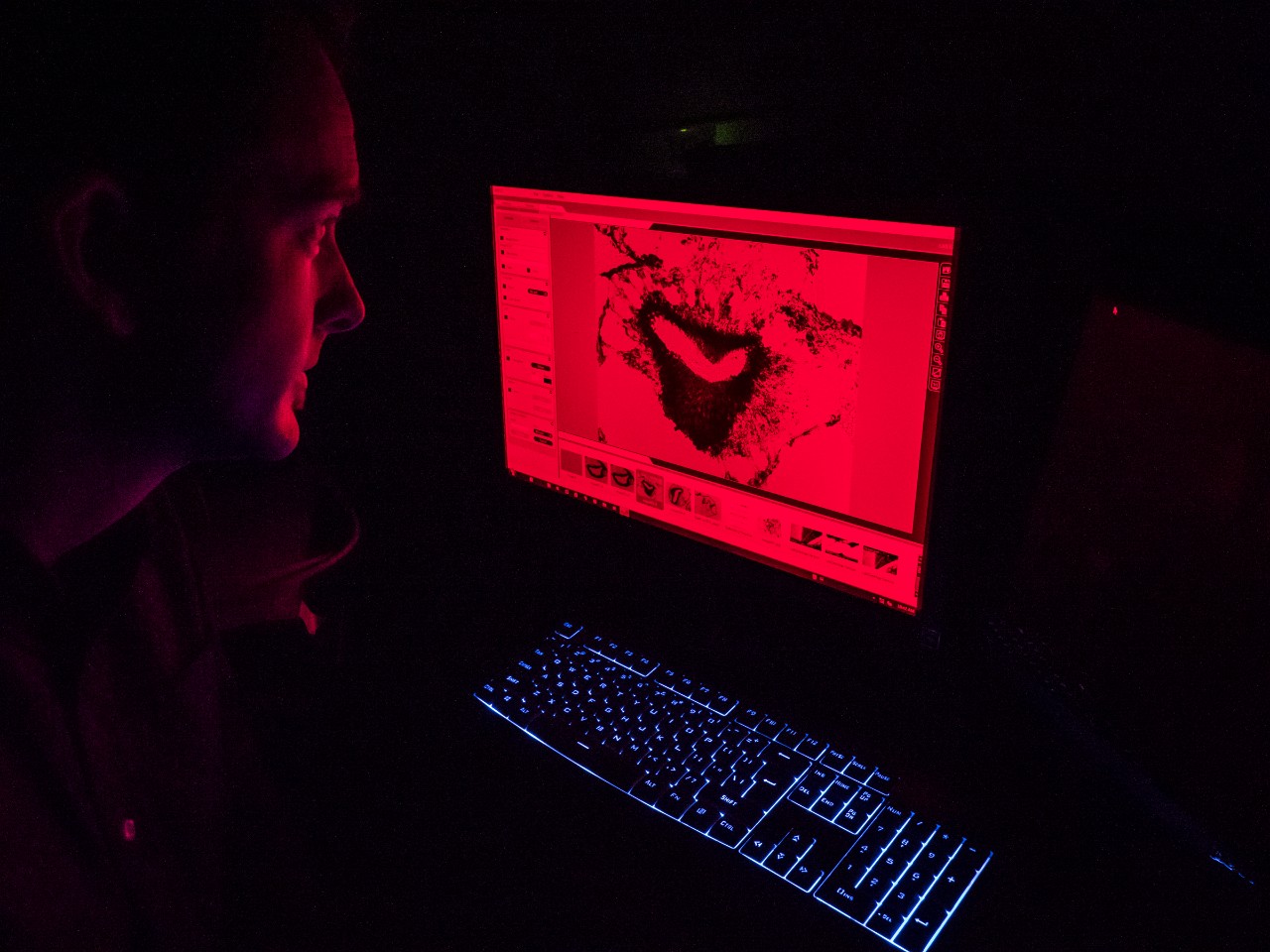 Nathan Morehouse,  National Science Foundation grant to study spider vision around the world. 711H Rieveschl