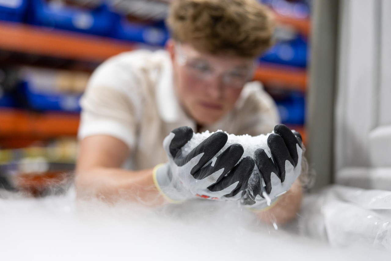 An employee in safety glasses holds two handfuls of pelleted dry ice in gloved hands over a mist of sublimated carbon dioxide.
