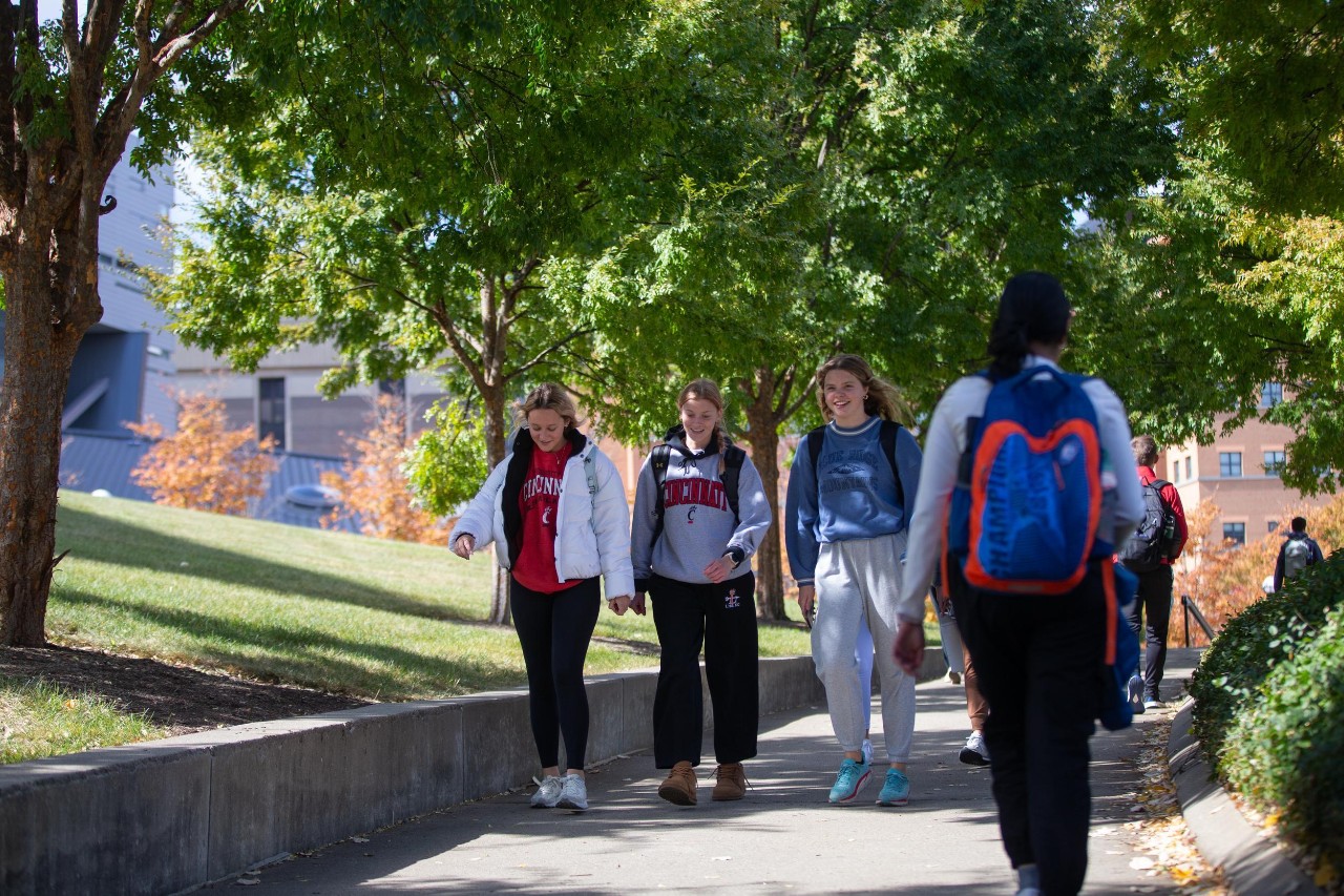 Students walking on UC's tree-lined campus