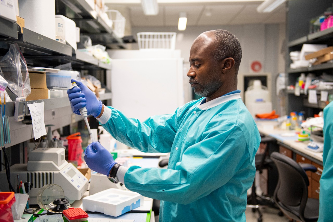 Hyacinth I. Hyacinth in lab.