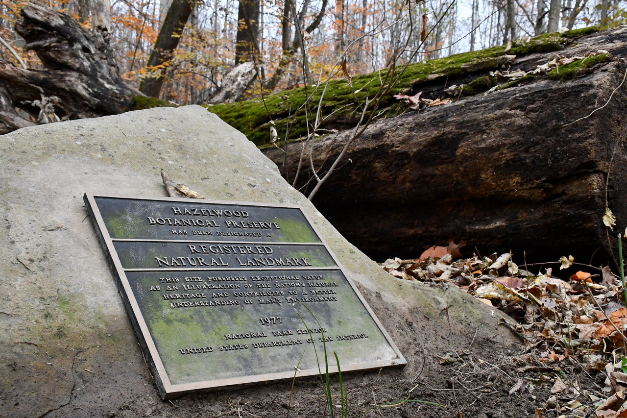 A marker for the Harris M. Benedict Nature Preserve is embedded in a boulder at the preserve.