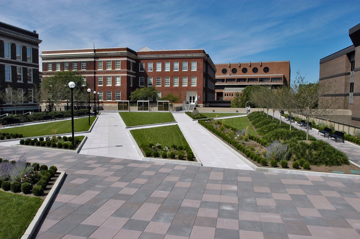 Zimmer Roof Garden, a hidden gem on UC's campus.
