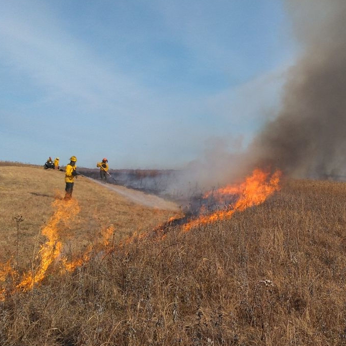 A group of people igniting the fire on the perimeter of a square mile burn at a national park