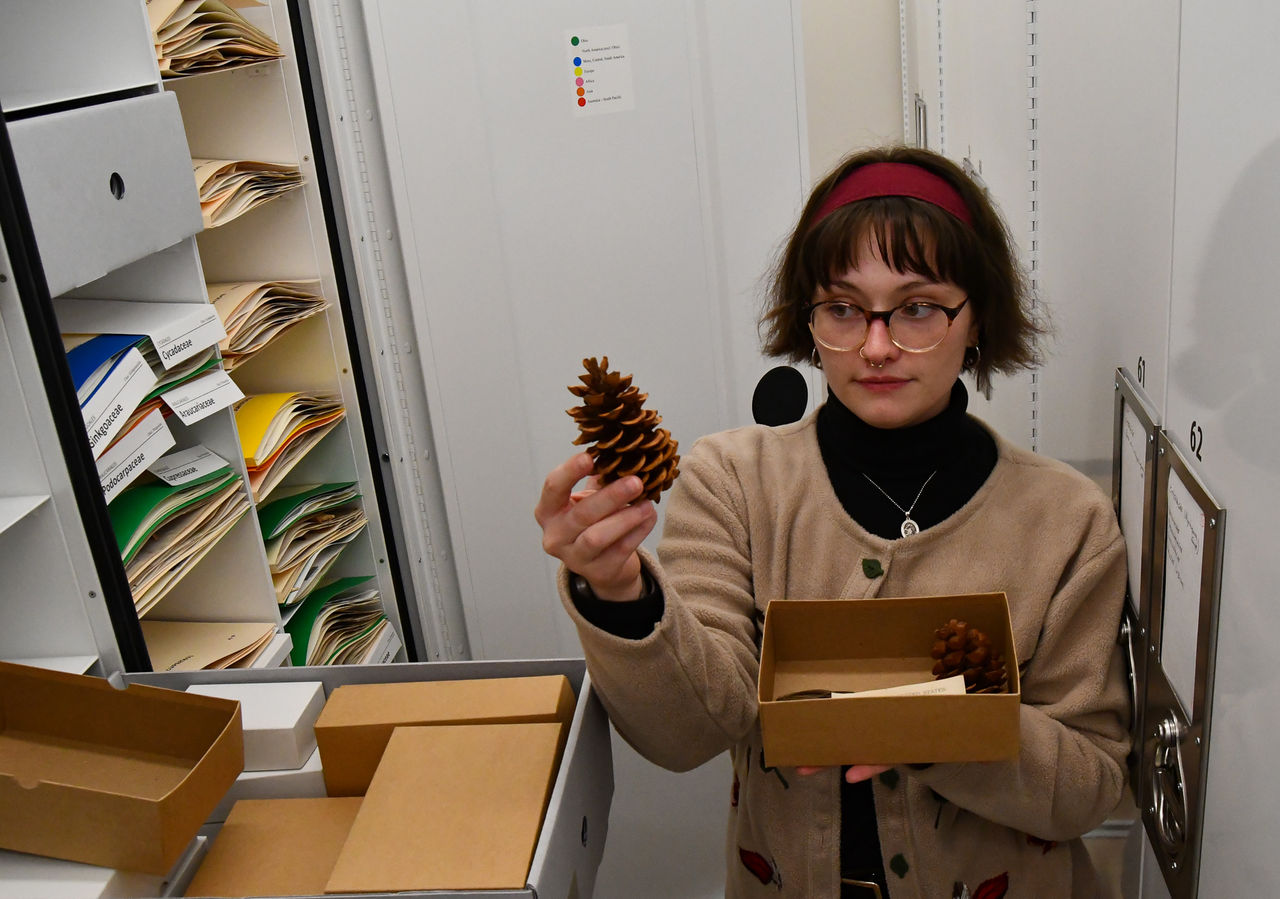 Olivia Leek holds up a pinecone in an aisle surrounded by storage cabinets.