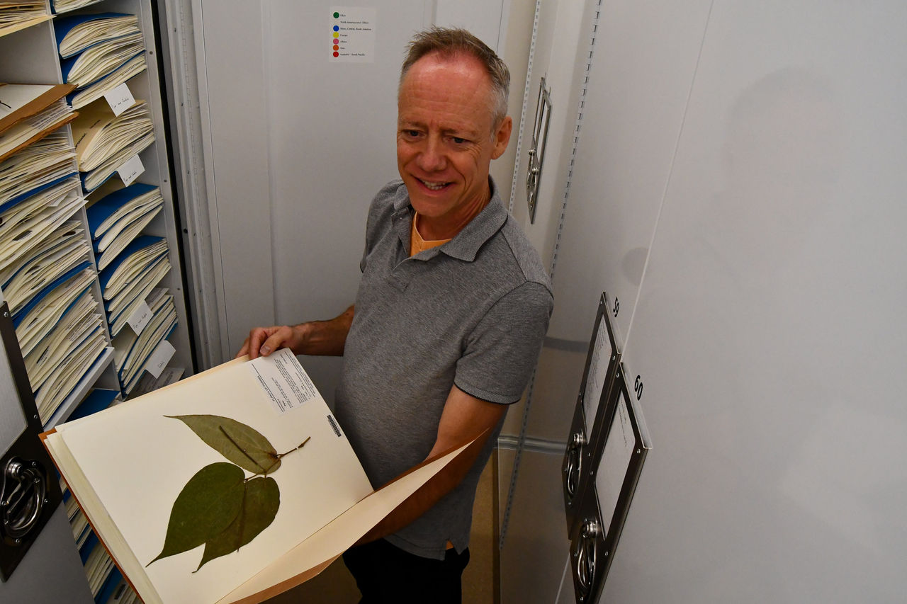 Eric Tepe holds a folder containing a mounted plant specimen in front of cabinets full of folders.