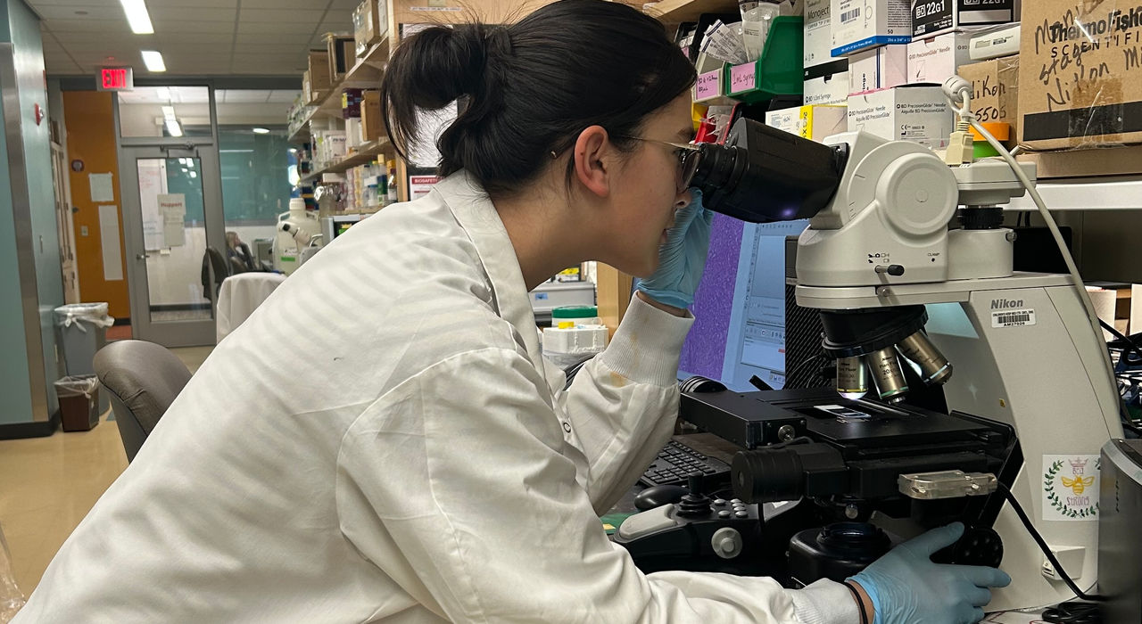 Adachi looks under a microscope at the lab.