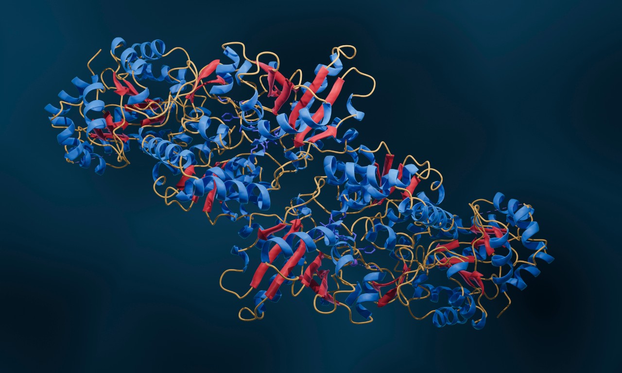 Enzymes, illustration of multienzyme complex