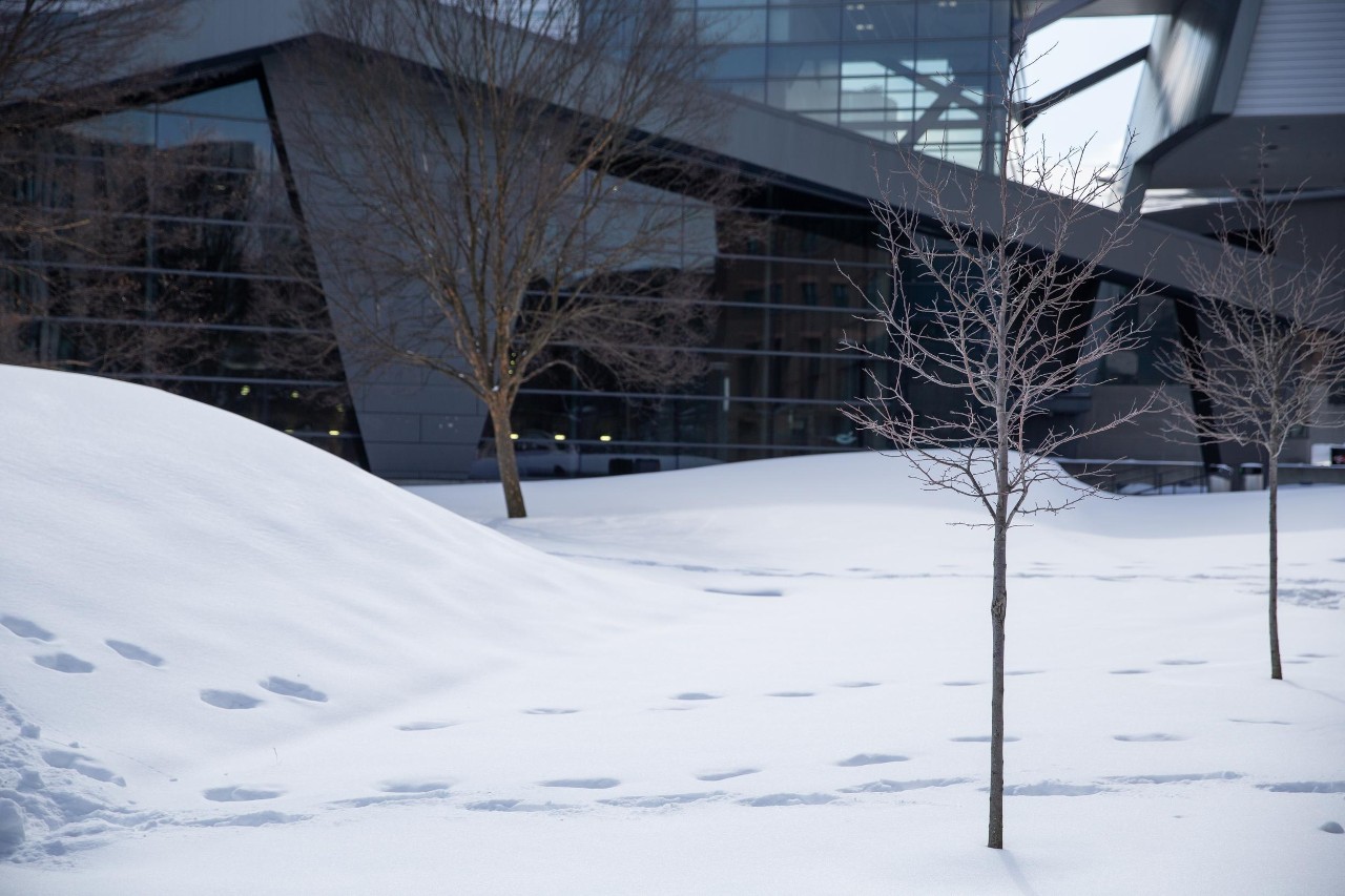snow