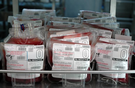 Blood bags at Hoxworth