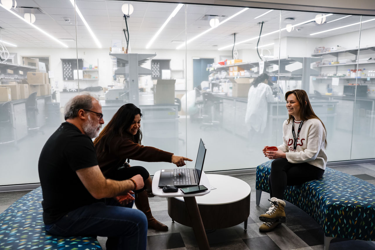Three people sit in a lounge area and discuss data on a laptop 