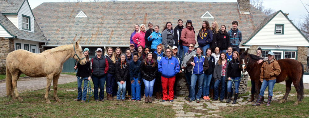 large group of students and farm workers with two horses and stable