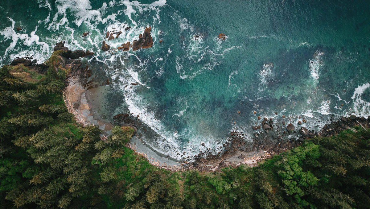 A forest stretches to the raging ocean surf in a stunning aerial shot featuring turquoise water and whitecaps and tall evergreen trees.