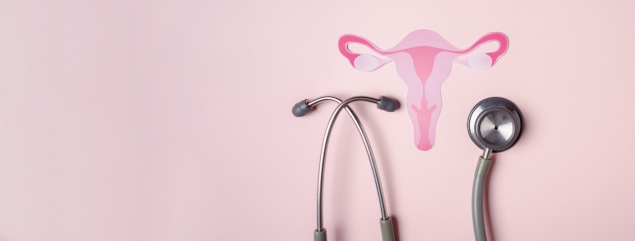 A stethoscope and a pink uterus on a pink background