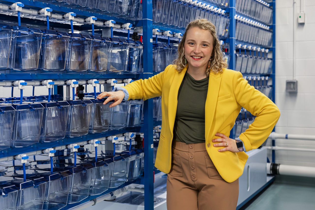 Michelle Kossack, PhD, in her lab's new zebrafish research facility 