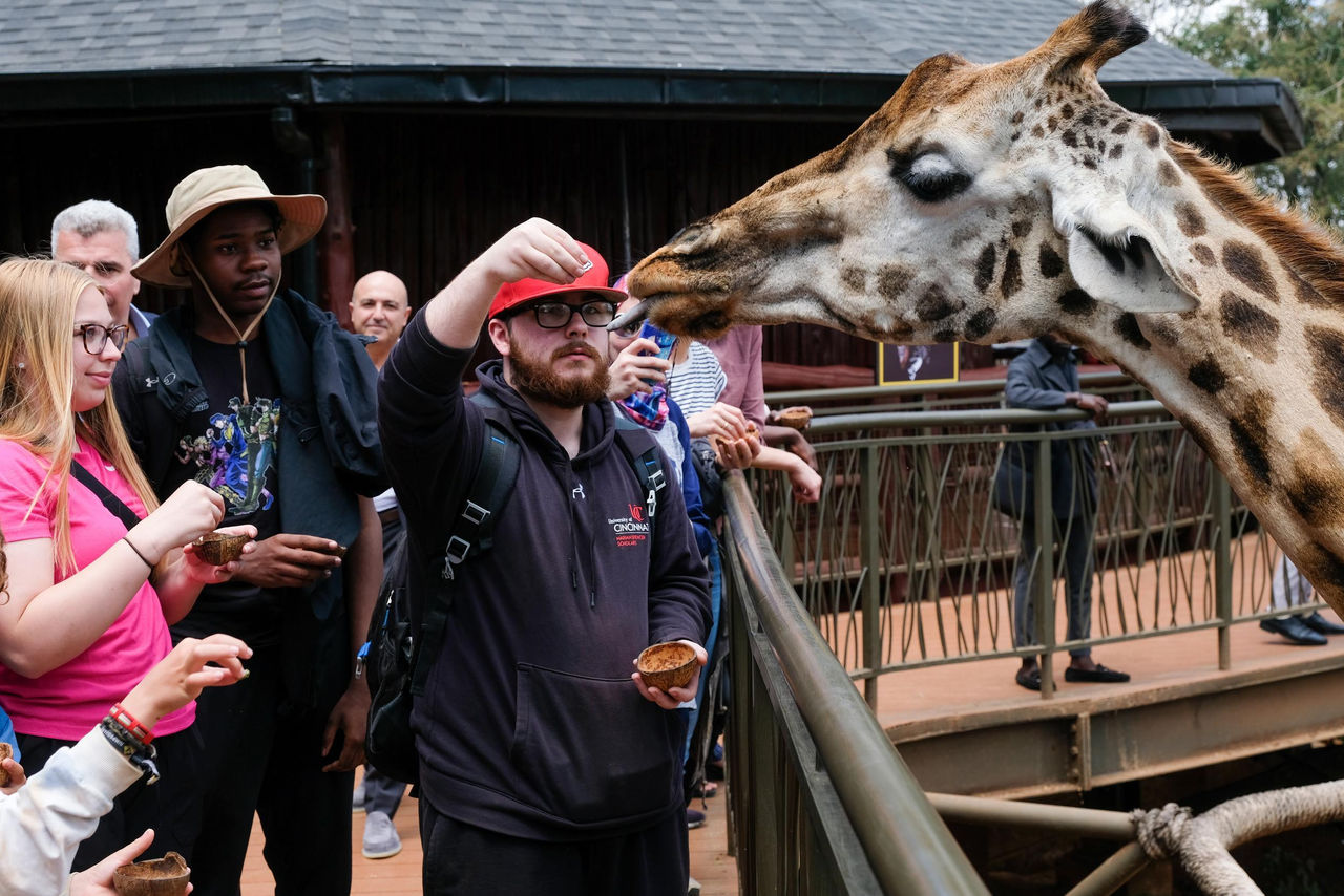 African Fund for Endangered Wildlife Giraffe Centre, Kenya, Locations in Kenya, Marcus Elliott, Marian Spencer Scholars, Nairobi, Travel, Wildlife