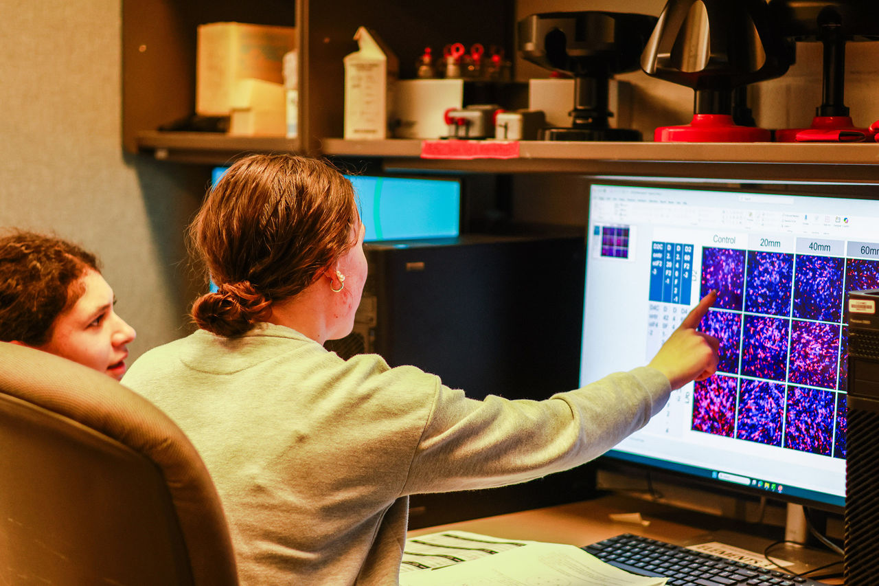 UHP students engaged in lab research through the RaMP program