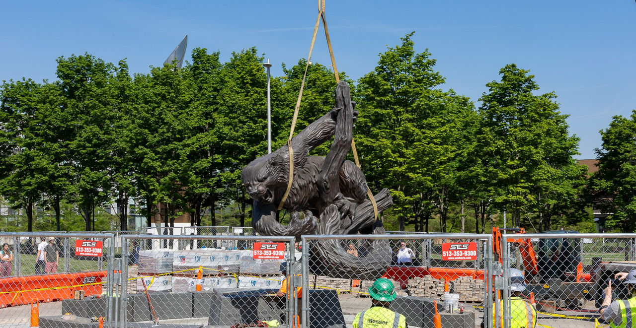 A crane lowers the Fighting Bearcat statue onto a stone base on UC's Uptown Campus.