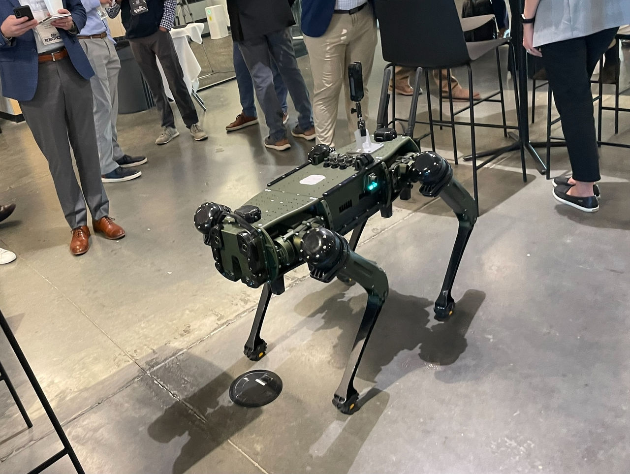 Robotic dog
