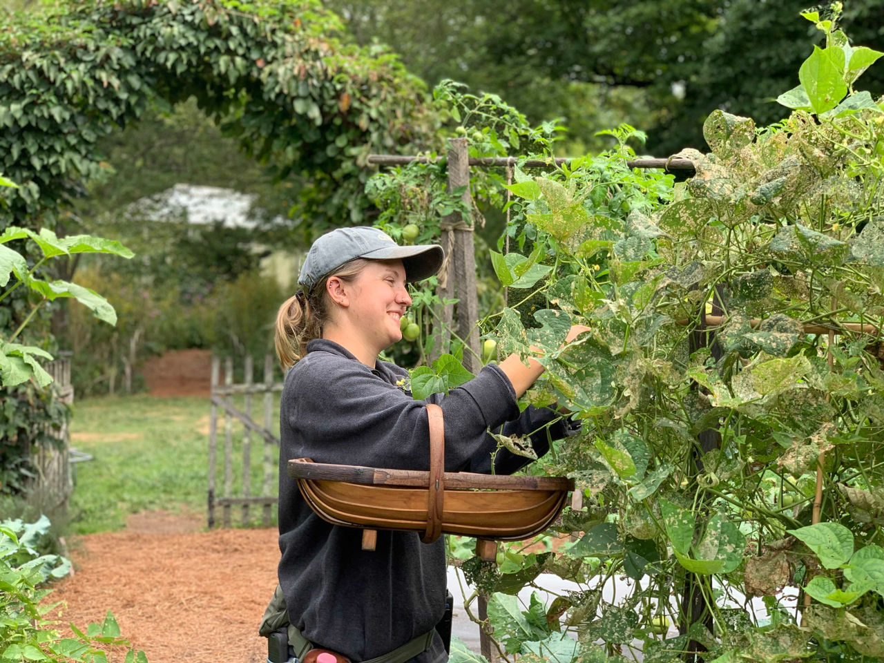 Trinity Tobe working in a garden, demonstrating UC’s hands-on horticulture/co-op pipeline