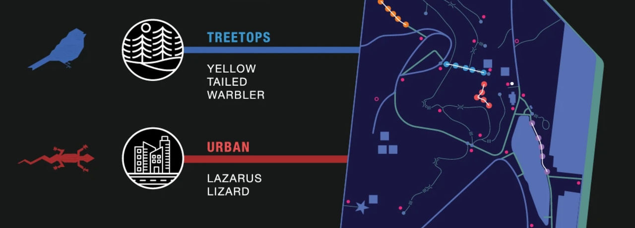 Close up image of project details