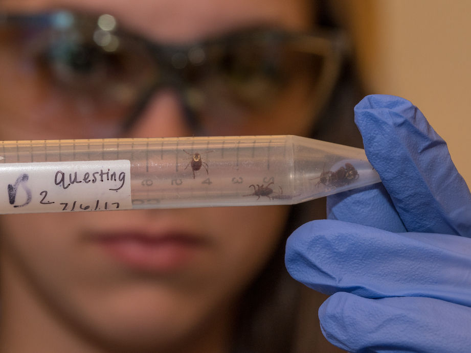 A student holds a vial of ticks up to her face protected with safety glasses.