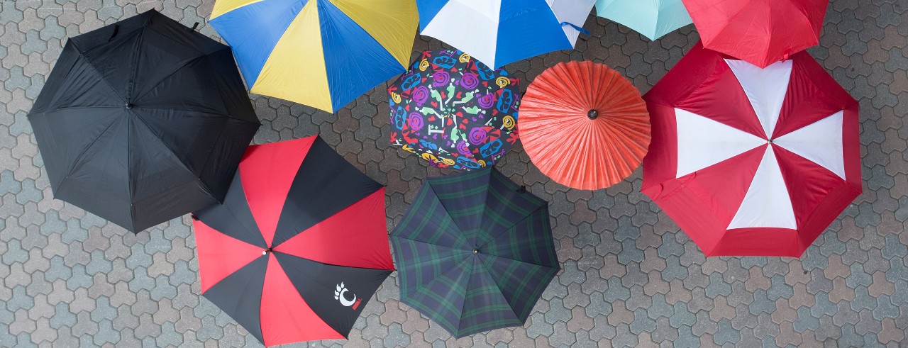 An overhead view of multicolored umbrellas in the rain.