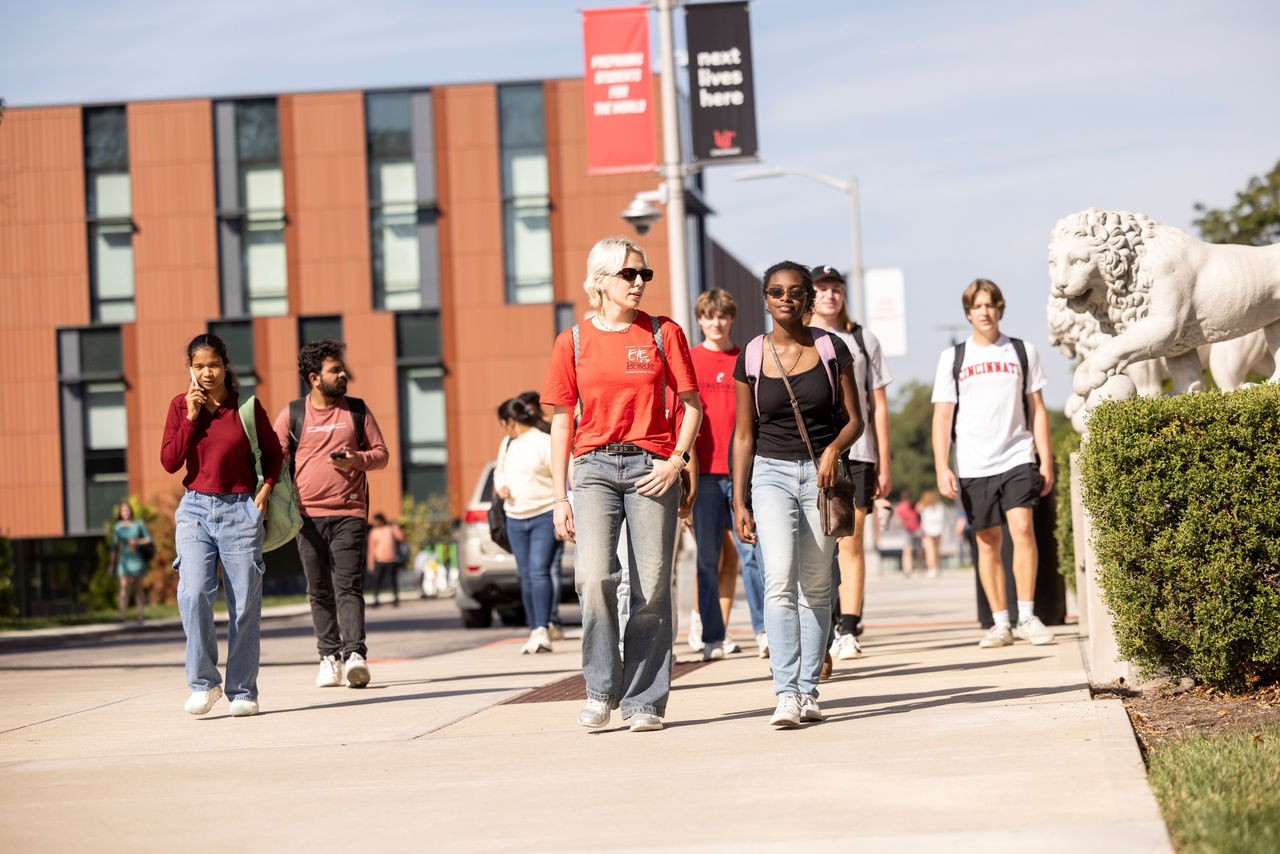 Group of several students walking on UC's campus. 