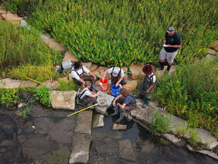 UC students survey fish using electrofishing.