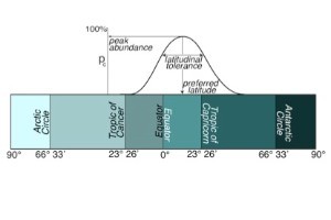 Bar graph shwoing the distrubution of marine organisms along lattitude in the tropical equator areas.