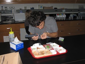 Student hovers over a lab table testing tooth samples for isotopes.