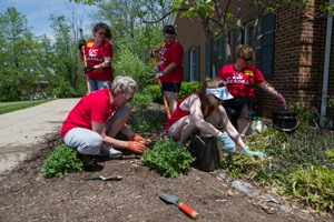 University of Cincinnati faculty and staff work during UC Serves 2015. UC/Joseph Fuqua II